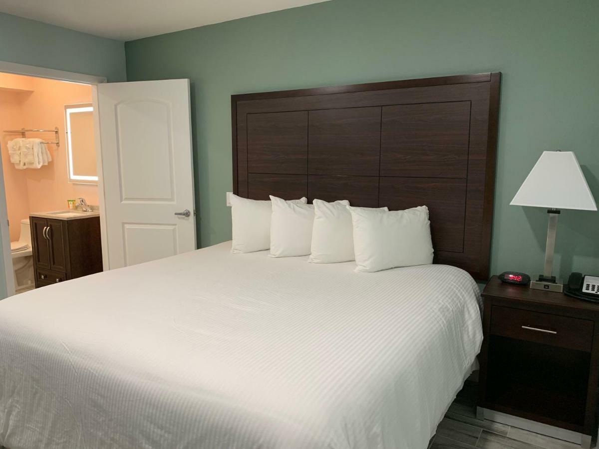Atlantic Shores Motel 德通纳海滩海岸 外观 照片